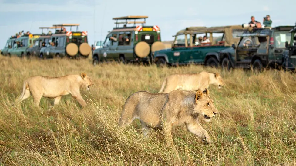 Akagera National Park wildlife safari